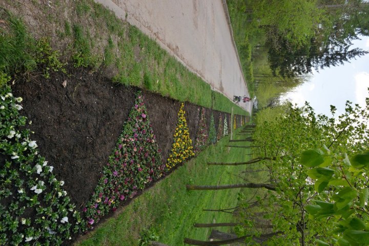 Silvia Radu: Floral carpets already planted. Let's take care of them 