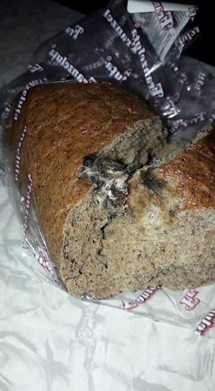 Mouse in loaf! Chisinau man bought bread in store for dinner and this was what he found 