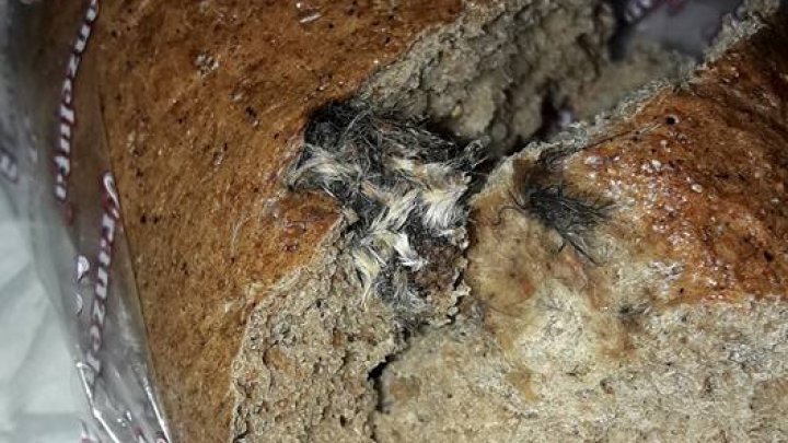 Mouse in loaf! Chisinau man bought bread in store for dinner and this was what he found 