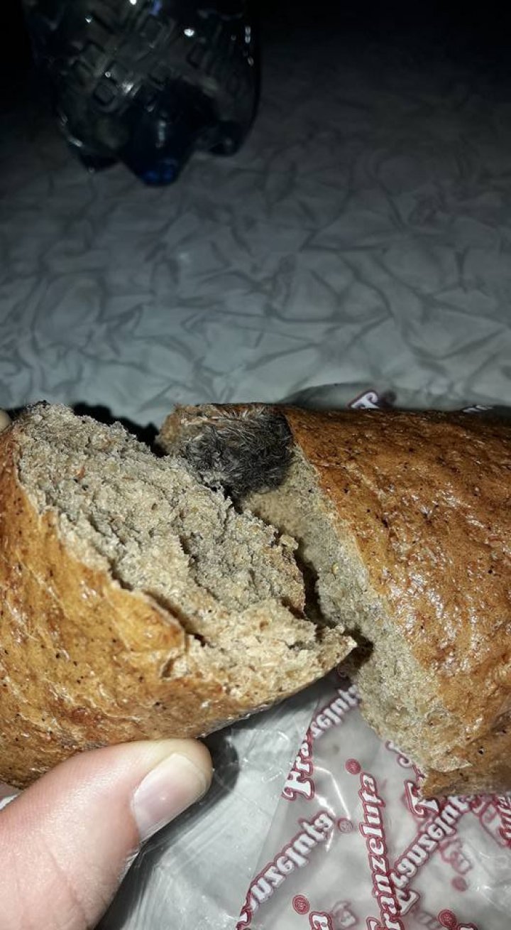 Mouse in loaf! Chisinau man bought bread in store for dinner and this was what he found 