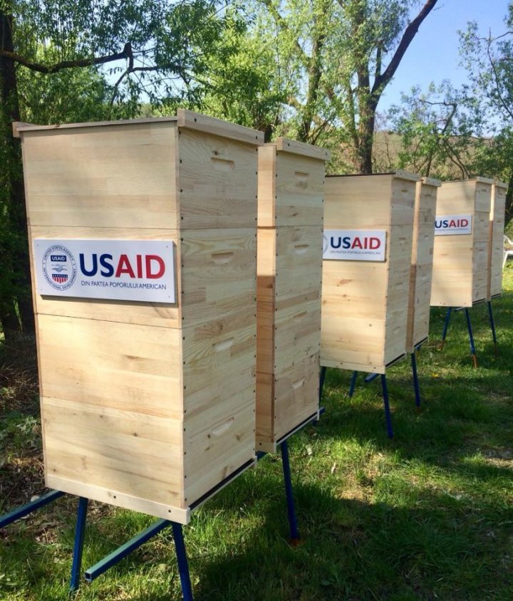 30 apiarists from Moldova each received 80 beehives from National Association of Beekeepers and USAID 