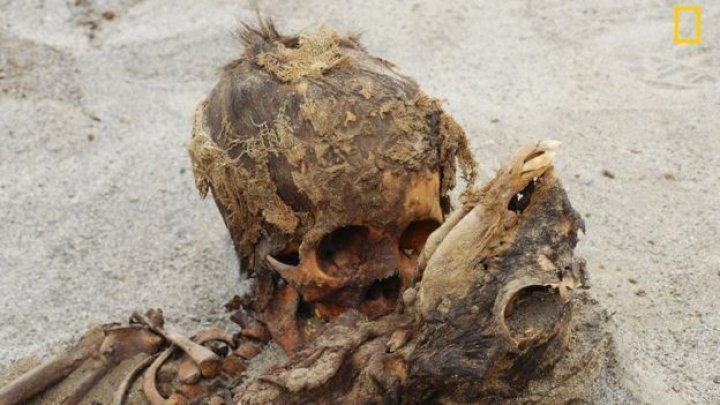 Mass child sacrifice discovered in Peru may be largest in history 