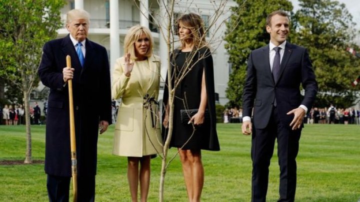 Tree gifted to Donald Trump by Emmanuel Macron disappeared from the White House lawn