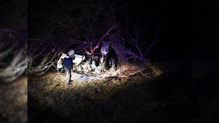 Tragedy near Nihoreni! Man passed away after his car crashed into a tree (Photo)