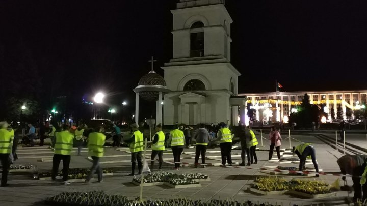 Silvia Radu: A Moldovan flower carpet was laid in front of the Nativity Cathedral