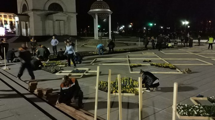 Silvia Radu: A Moldovan flower carpet was laid in front of the Nativity Cathedral