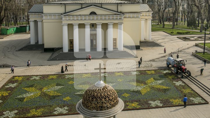 Chisinau's floral carpet debut on international media 