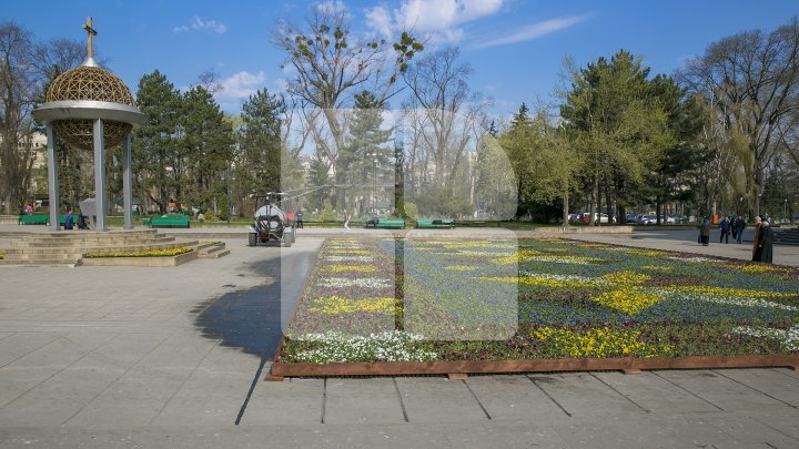 Chisinau's floral carpet debut on international media 