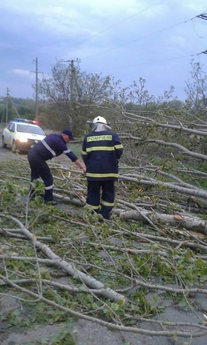 Sleet and strong wind caused havoc last night in Râșcani district (Photo/ Video)