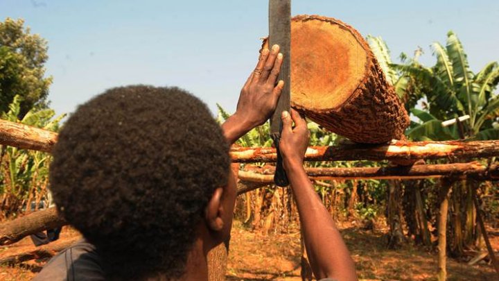 Focus on helping field workers cope with the heat