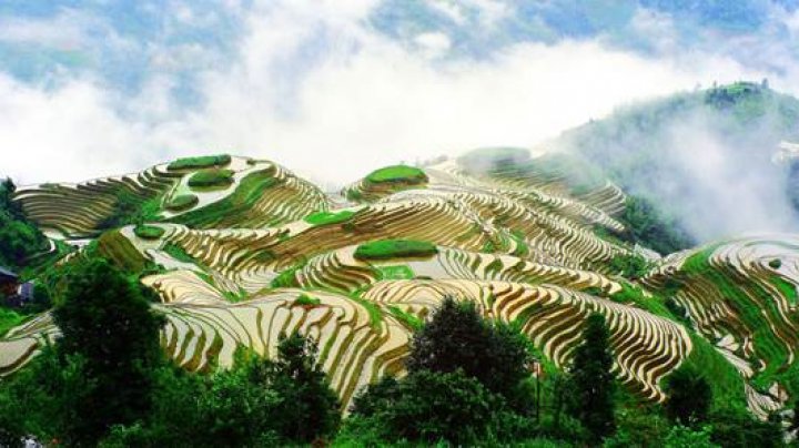 New unique agricultural heritage sites designated