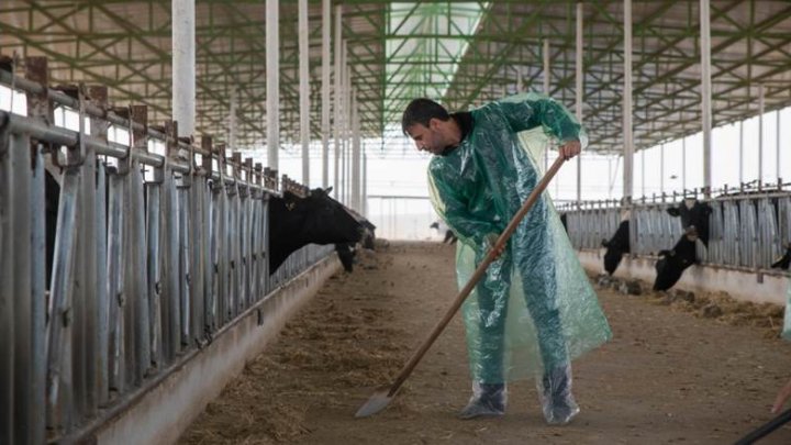 Syrian refugees in Turkey are learning agricultural skills for a better future