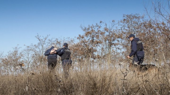 Man from Colibași might gain a criminal record for attempting to illegally cross the border