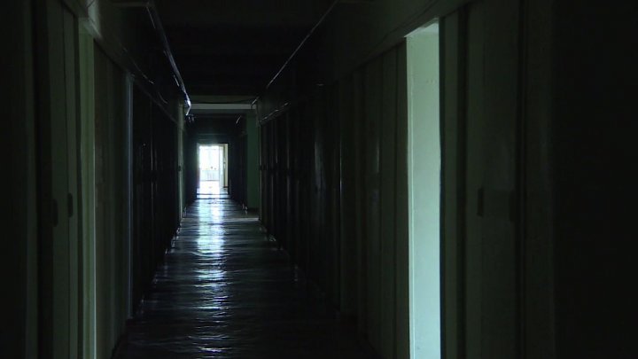 Employees of Zoology Institute work in hard conditions a week after fire  