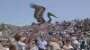 Pair of pelicans crashed graduation ceremony at Pepperdine University in  California beachfront community of Malibu