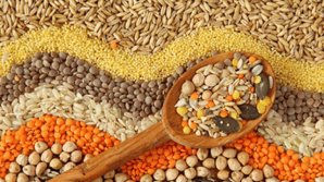 Woman from Florest started gluten free cereal business