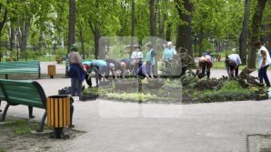 All parks and recreation zones from Chisinau will be prepared for summer