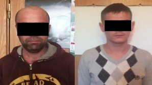 Two wanted Moldovans arrested for theft and domestic violence