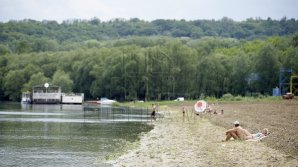 Vadul lui Voda beach is very crowded at this hour. Green Spaces workers arrange the surrounding