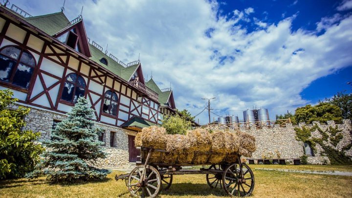 May 1 at the winery from Puhoi village. People celebrated with good wine and delicious food