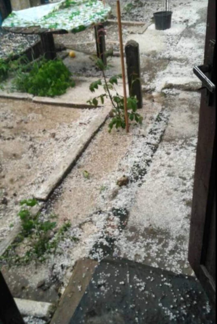 Sleet and strong wind caused chaos in Căușeni district. Experts will estimate the damages (Photo)