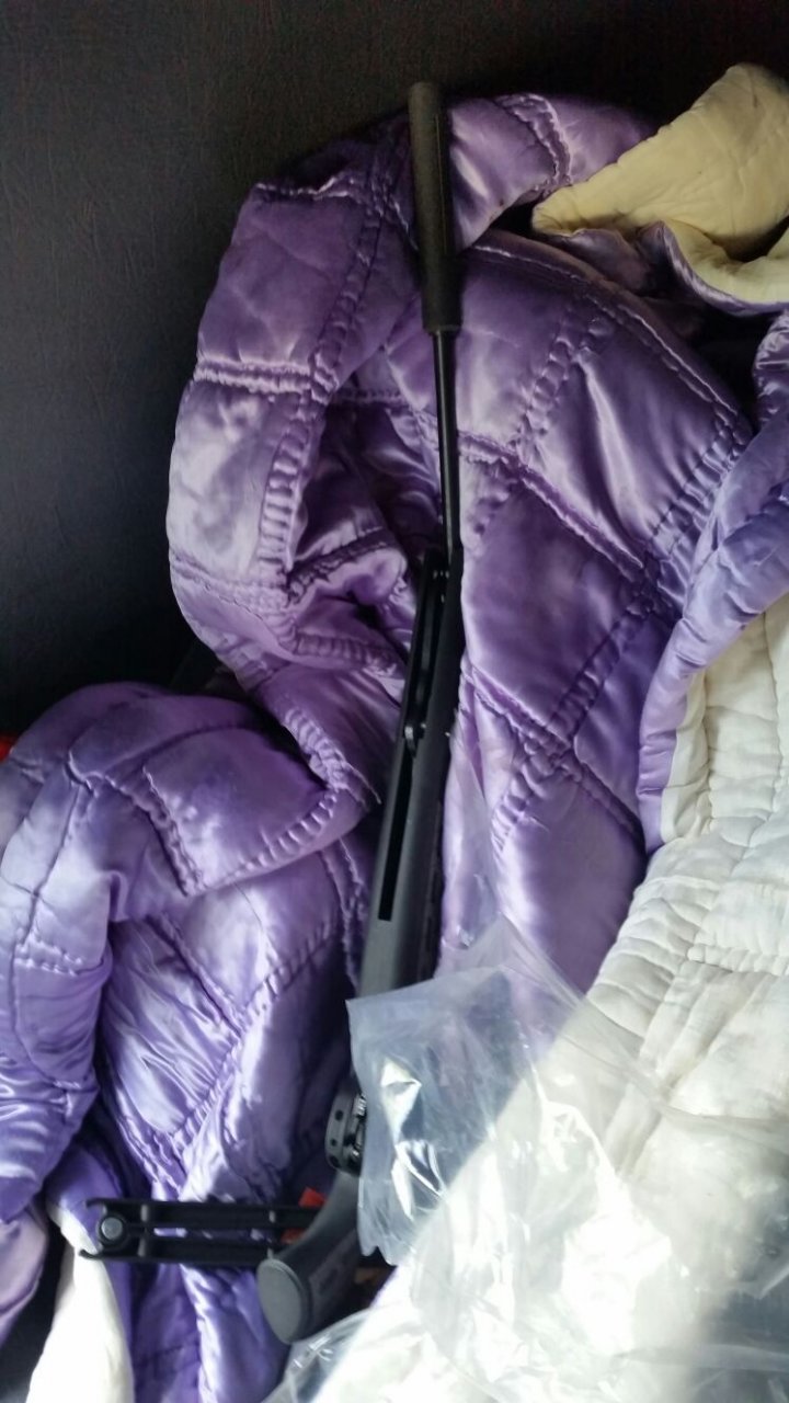 Guns and undeclared cigarettes found at customs. Where did smugglers hid the goods?