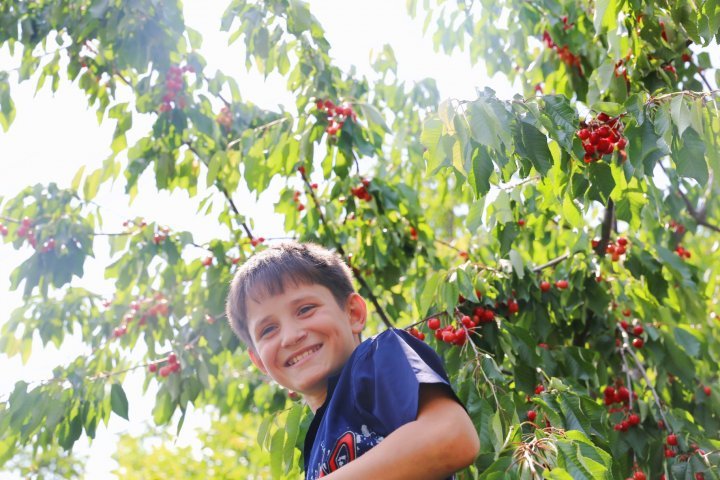 Intern Minister shares impressive meeting with Cristian, the boy sold cherries at market to help his mother 