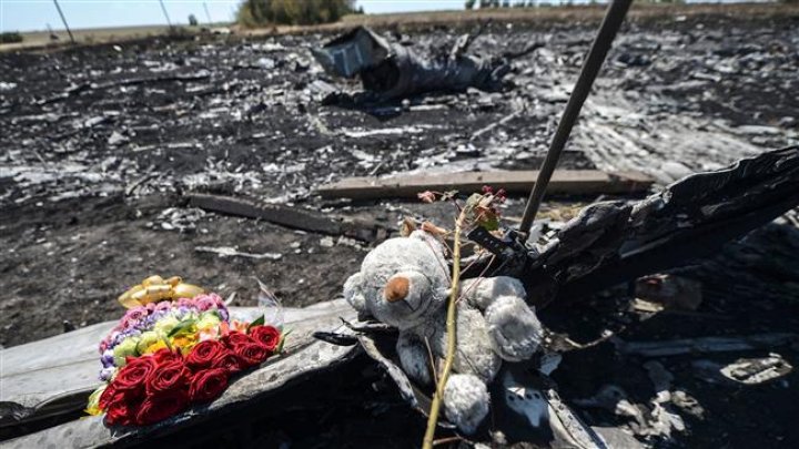 Australian FM blames Russia for downing of MH17