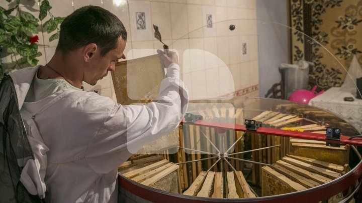 Moldovan who pulls off honey harvest thanks to AOAM reward (photoreport) 