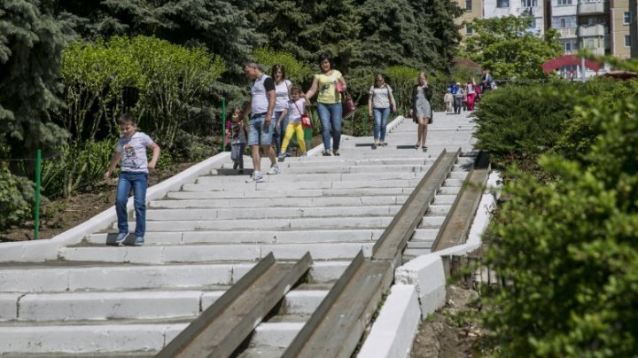 Chisinau Zoo put on display animals that were previously hidden from the public (Photo/Video)