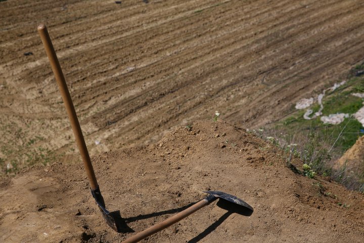 New discoveries at the archaeological site from Costești (PHOTOREPORT)