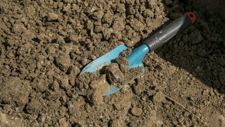 New discoveries at the archaeological site from Costești (PHOTOREPORT)