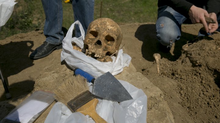 New discoveries at the archaeological site from Costești (PHOTOREPORT)