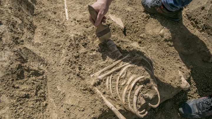 New discoveries at the archaeological site from Costești (PHOTOREPORT)
