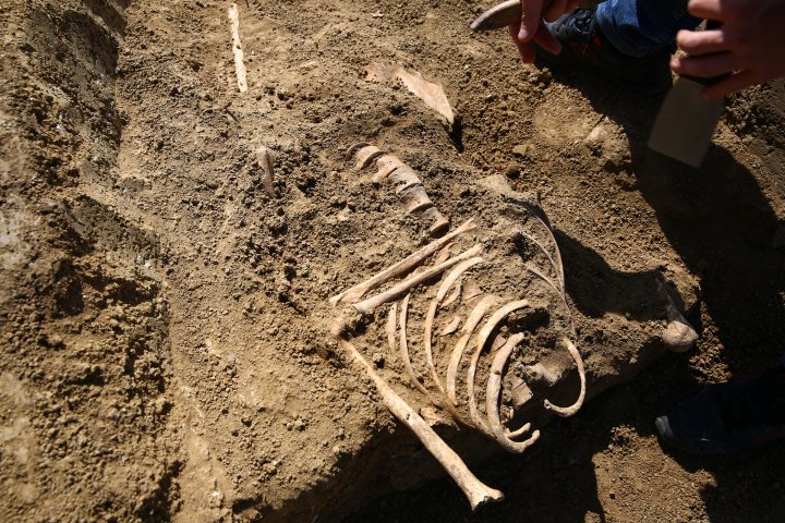 New discoveries at the archaeological site from Costești (PHOTOREPORT)