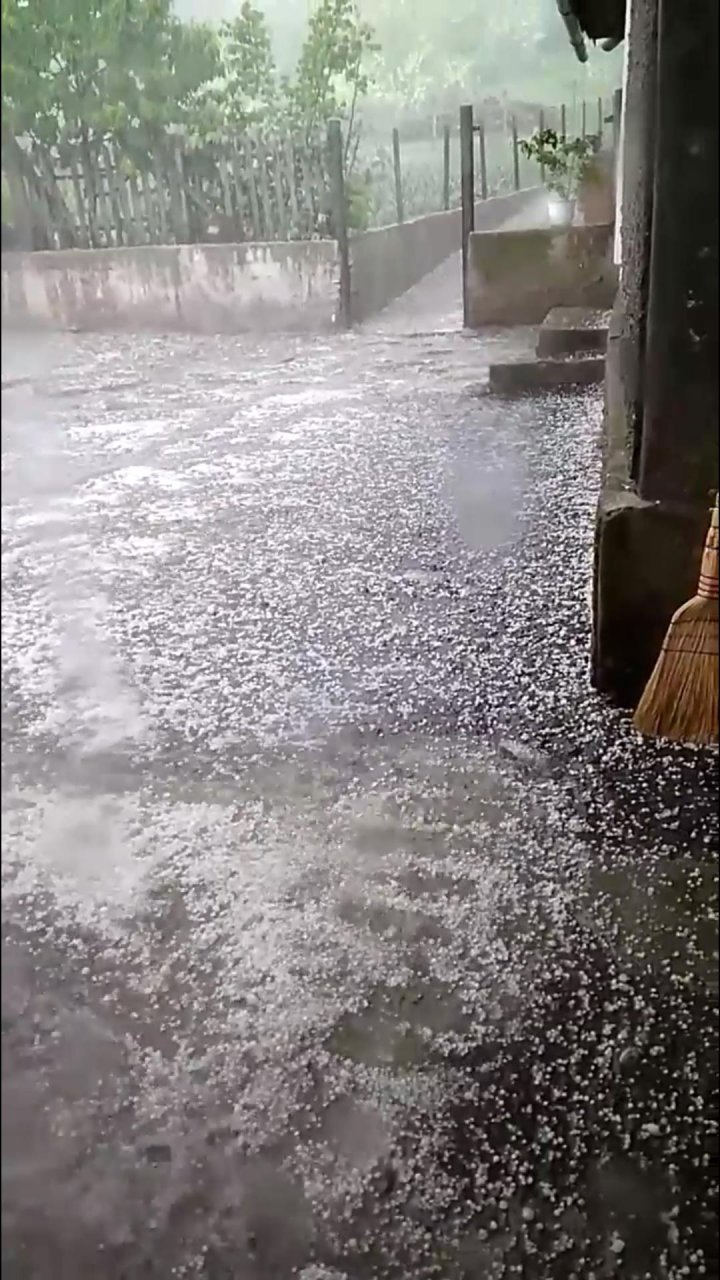 Strong wind and sleet caused significant damages in multiple localities from Moldova