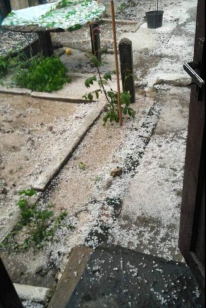 Strong wind and sleet caused significant damages in multiple localities from Moldova