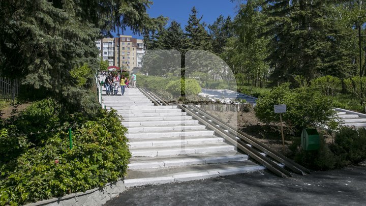 Capital's Zoo was crowded with people. Everyone wished to see the baby crocodile (Photo)