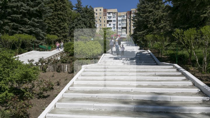 Modern and large farmhouse to be installed in Capital Zoo for two brown bears