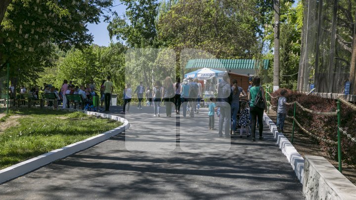 Capital's Zoo was crowded with people. Everyone wished to see the baby crocodile (Photo)