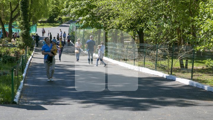 Capital's Zoo was crowded with people. Everyone wished to see the baby crocodile (Photo)