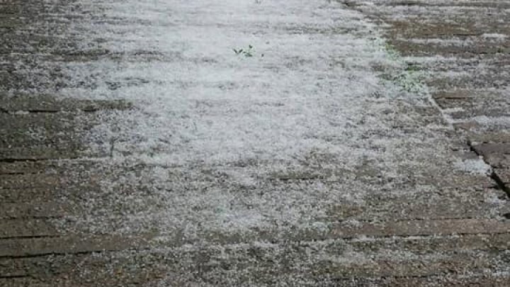 Sleet caused havoc in multiple settlements from the Country. Storm destroyed crops (Photo)