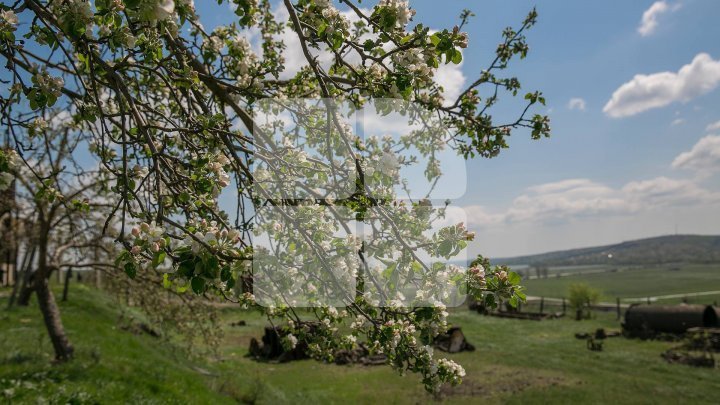 Variable sky with temperature of 29 degrees forecast on Saturday 