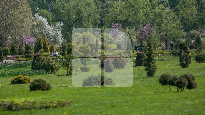 Weather forecast in Moldova for May 4, 2018