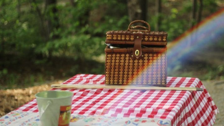 Some people decided to celebrate Victory Day with a picnic and barbeque