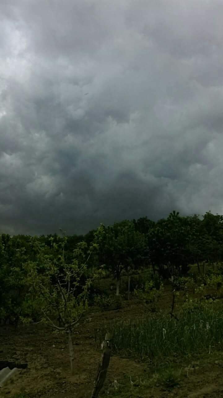 Sleet and strong wind caused chaos in Căușeni district. Experts will estimate the damages (Photo)