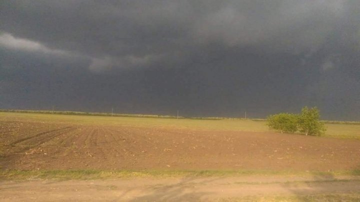 Sleet and strong wind caused chaos in Căușeni district. Experts will estimate the damages (Photo)