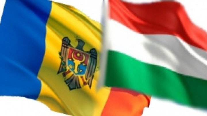 Moldova and Hungary examine potential collaboration in diplomatic field 