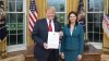 Ambassador Cristina Balan presented letters of accreditation to US President Donald Trump 