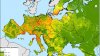 FAO’s novel wild boar map could improve the management of African swine fever